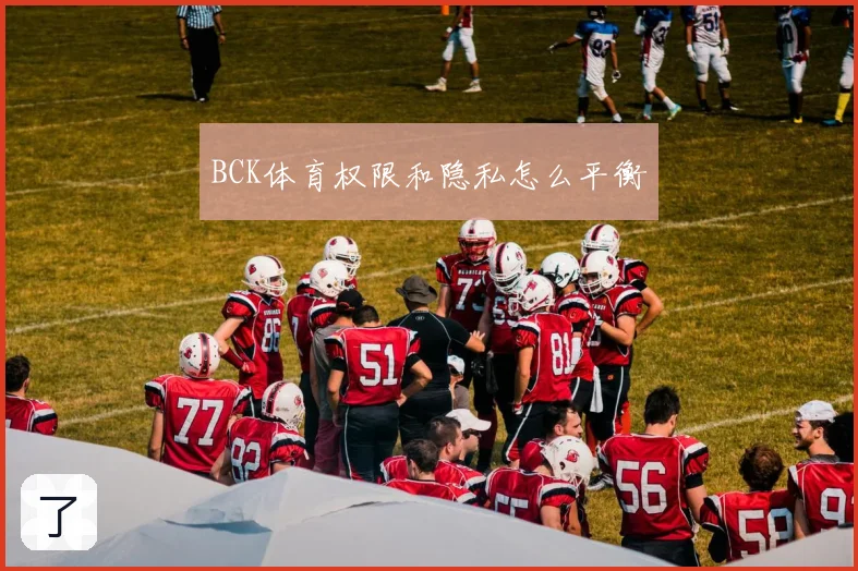 BCK体育权限和隐私怎么平衡